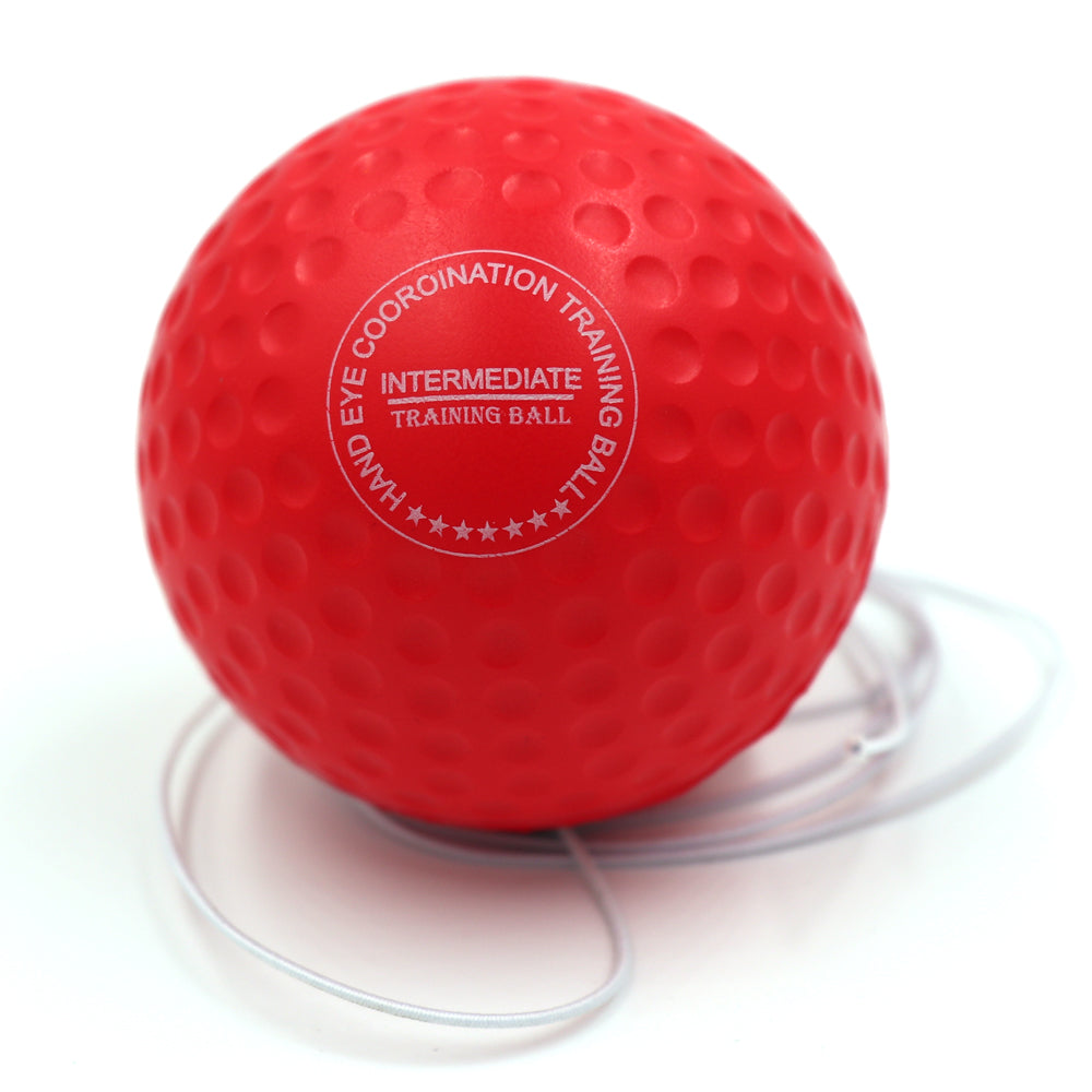 ElevateFit Reflex Pro Ball