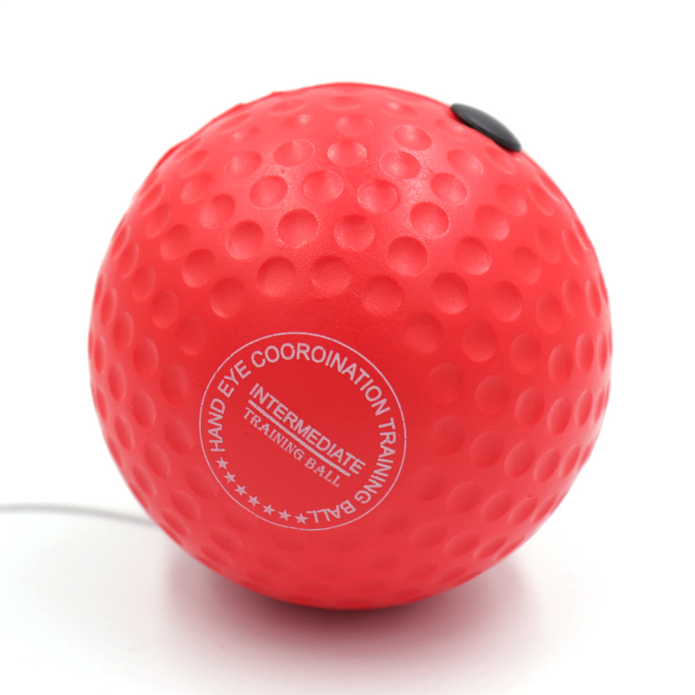 ElevateFit Reflex Pro Ball